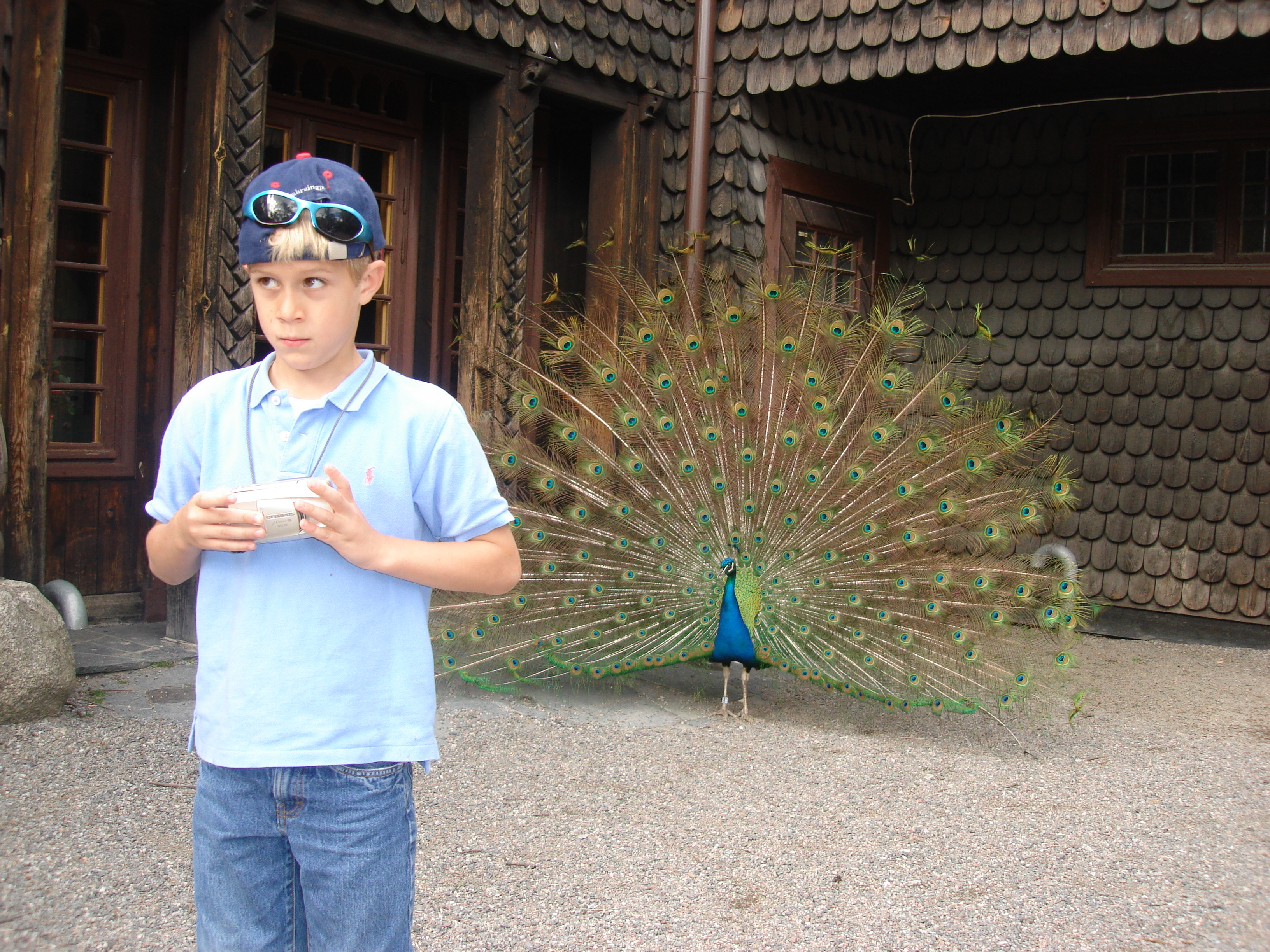 Header