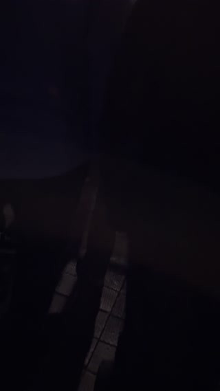 Video from Eli & Fur on October 17, 2025
