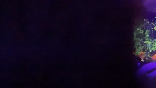 Video from Pablo Fierro Closing Party - Club Chinois on October 12, 2024