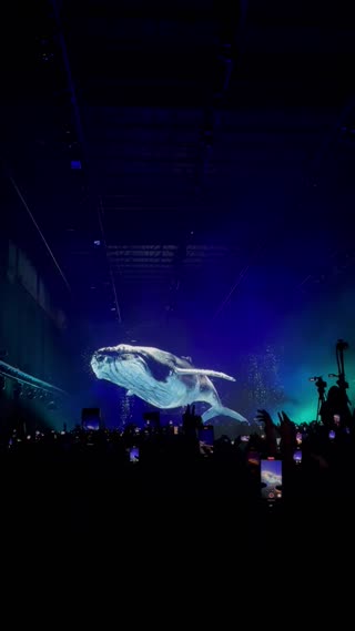 Video from Holo NYC 11.25 on November 26, 2023