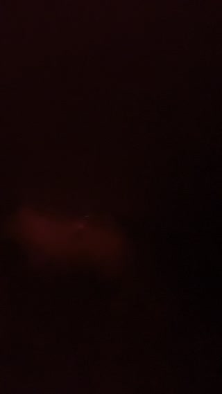 Video from Little Portland Street on July 11, 2024