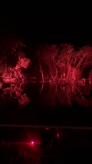 Video from Solomun Tulum 24 on January 3, 2024